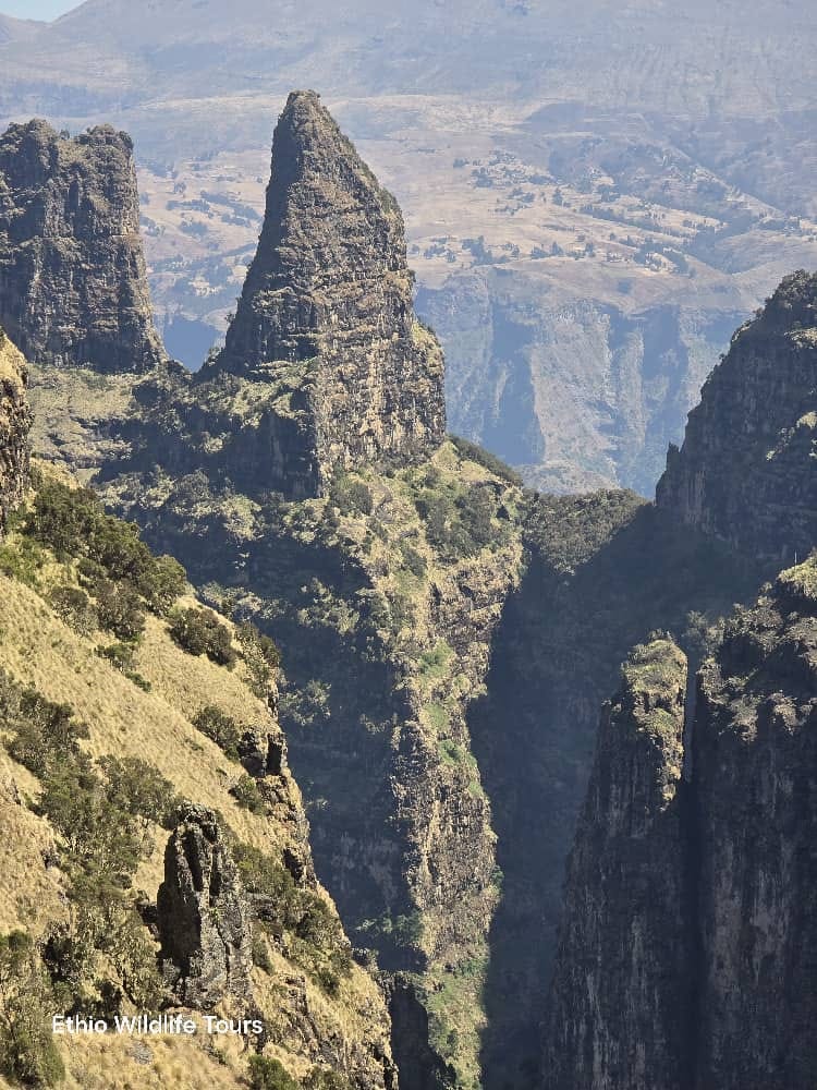 The broad highlands of Ethiopia that anchor the grand tour route